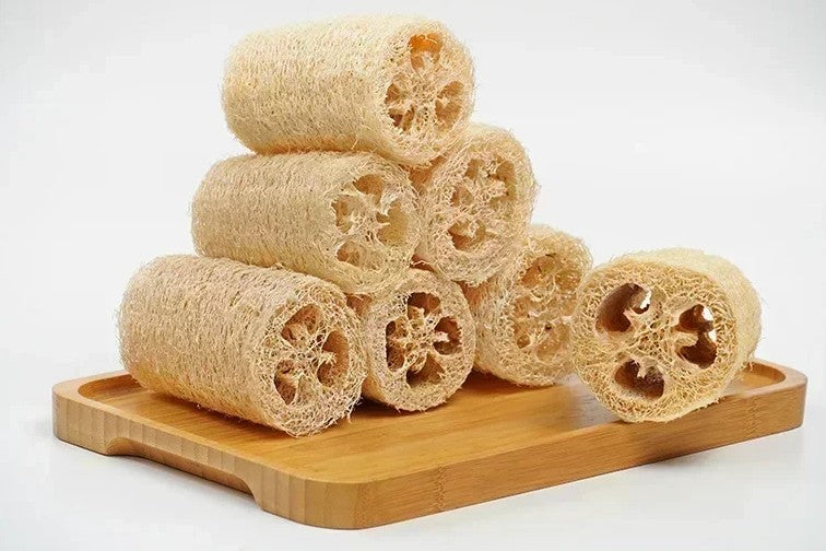 Natural Loofah Sponge