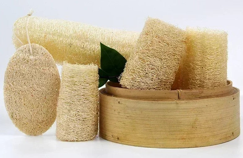 Natural Loofah Sponge