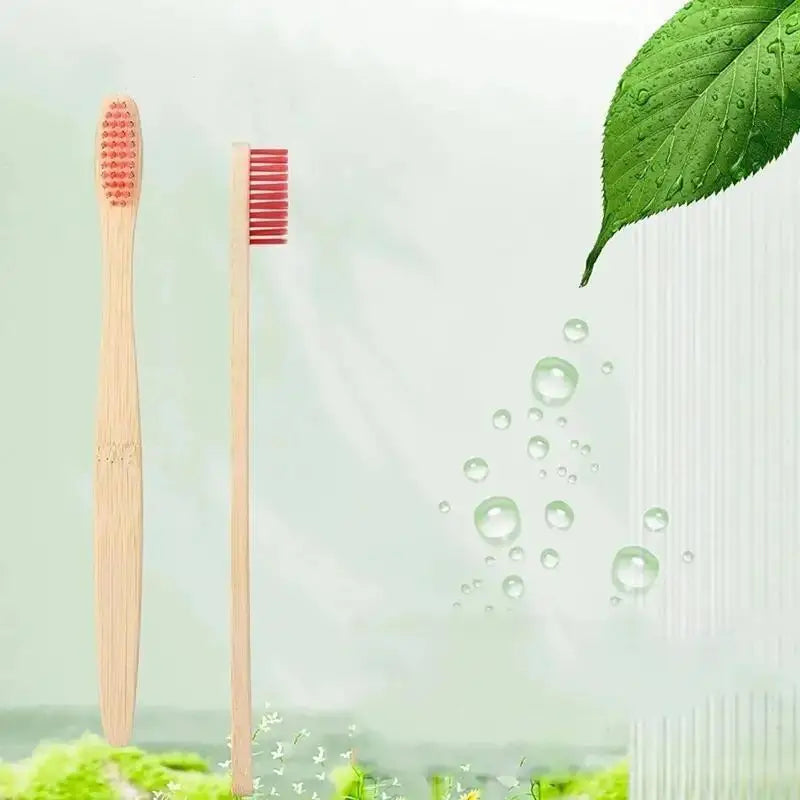 adult sized Bamboo Biodegradable Toothbrush set