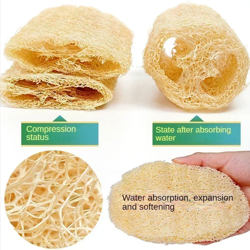 Natural Loofah Sponge