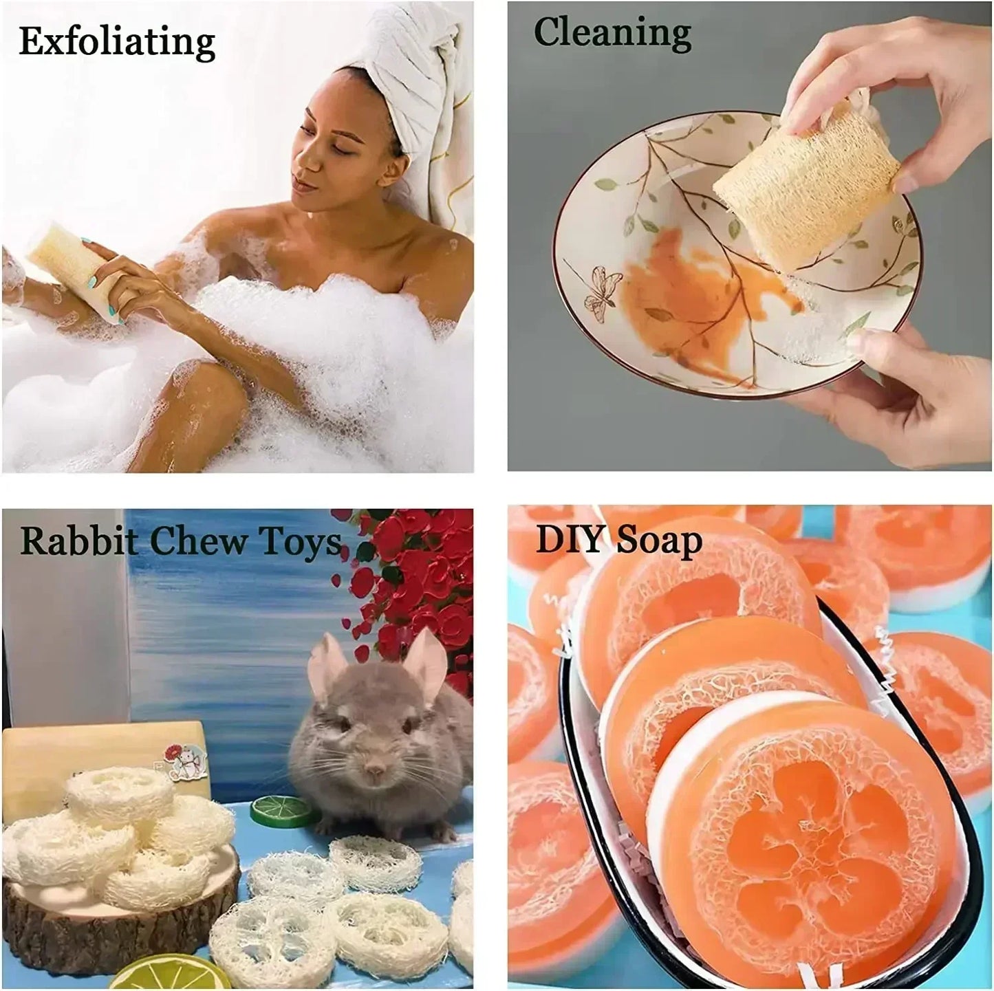 Natural Loofah Sponge