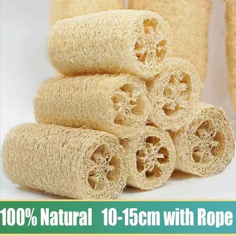 Natural Loofah Sponge